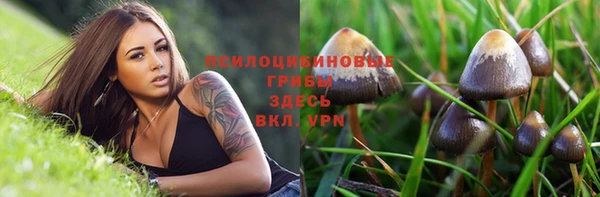 МДПВ Дмитровск