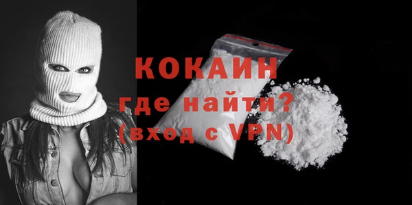 МДПВ Ельня