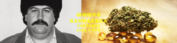 винт Дмитриев