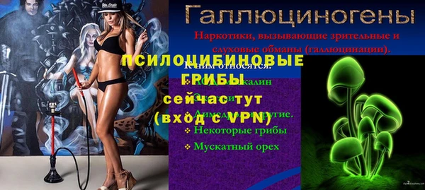 соль ск Елабуга