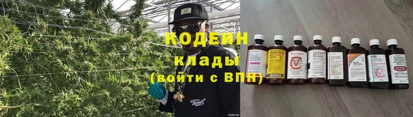 МДПВ Ельня