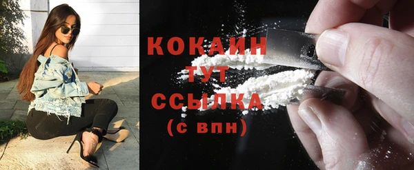 винт Дмитриев