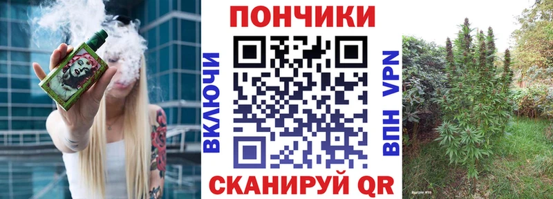 Купить  Подпорожье  Каннабис семена 